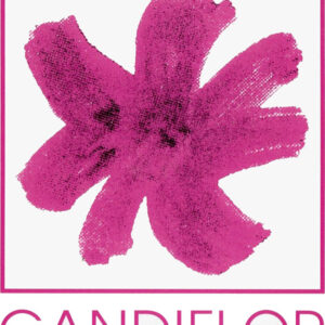 CANDIFLOR - FIORI CRISTALLIZZATI NELLO ZUCCHERO